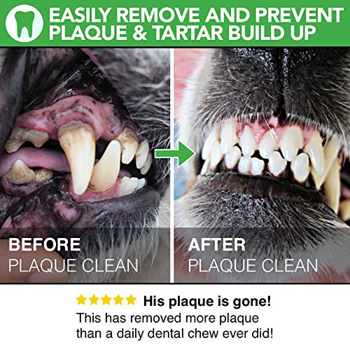 The Healthy Dog Co - Plaque Off Dogs - Natural Dog Breath Freshener - Reduce Plaque Buildup for Cats - Dog Dental Care Formula - Dog Teeth Cleaning, Easier to Use than Dog Toothpaste - 100g - Image 4