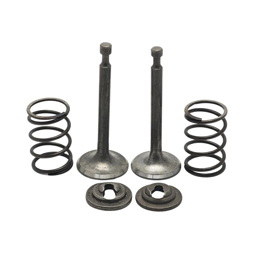Set di guarnizioni for stelo a molla di ritenzione della valvola di scarico di aspirazione compatibile con Honda GX160 GX200 5.5HP 6.5HP Motore for tosaerba Pezzo di ricambio