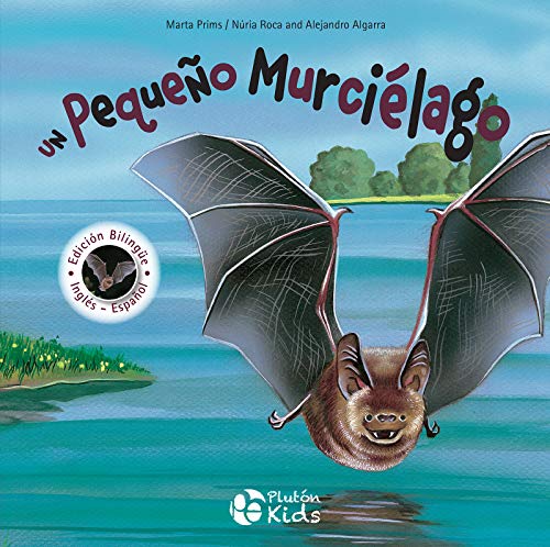 Un pequeño murciélago