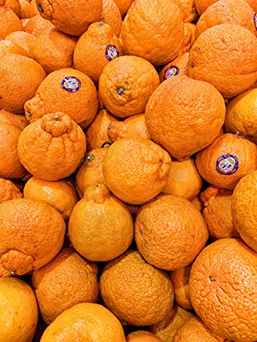 Kejora Fresh Sumo Citrus 4.5 LB - Sweet and Seedless Mandarin Oranges - Thumbnail 3