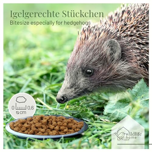 wildlife home Igelfutter VON IGELHILFEN EMPFOHLEN Getreidefrei 1kg - Artgerechtes Spezialfutter für Igel mit Insektenprotein für die optimale Energieversorgung, Vollwertiges Igel Futter Trockenfutter
