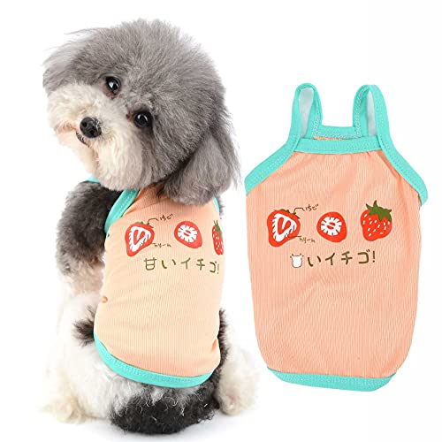 T-shirt en coton pour petit chien et chiot débardeur d'été fraise
