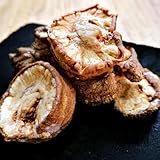 あぶらかす 500g (250g×2パック)大阪ソールフード かすうどん お好み焼き チャーハン うどん 油カス 油かす エーアシスト