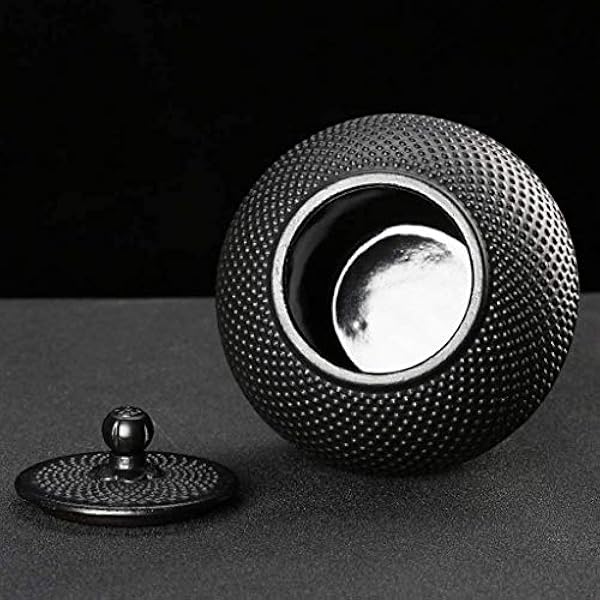 Huisdier Metalen As Asdoos Volwassen As Crematie Begrafenis As Asdoos Gedenkteken Mini Crematie Souvenirs Volwassen huisdier Begrafenis