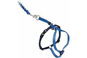 PetSafe Come with Me Kitty Harness and Bungee Leash for Large Cats