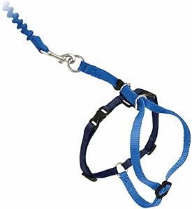 PetSafe Come with Me Kitty Harness and Bungee Leash, Large, Royal Blue