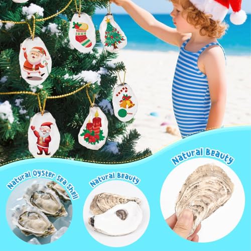 Ostras naturales a granel para transformar tu hogar con decoración costera y calidez 3