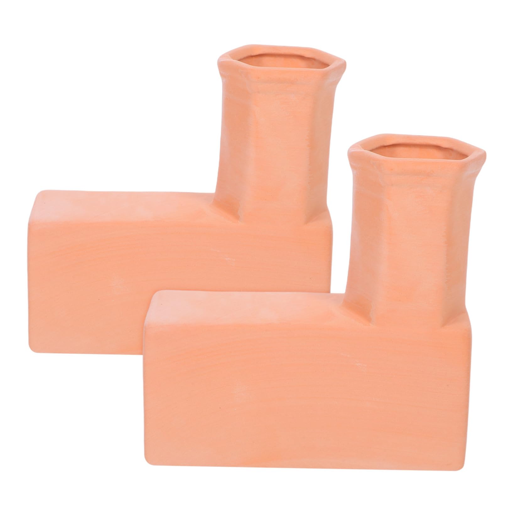 Picchetto Autoirrigante Terracotta per Piante, 1 Coppia
