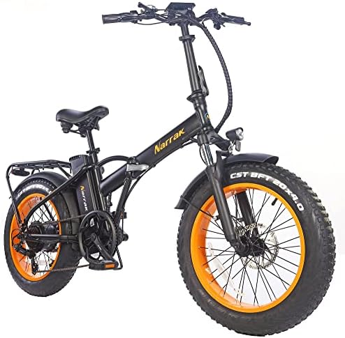 Narrak Electric Bicycles 500W/750W Brushless Motor, 48V Removable Battery, 13Ah, Folding Bike, 20” Fat Tire, Step Over/Step-Thru Frame, 28Mph Max Speed LCD Large LCD Display, Mountain e-Bike, Snow Electric Bike For Adults