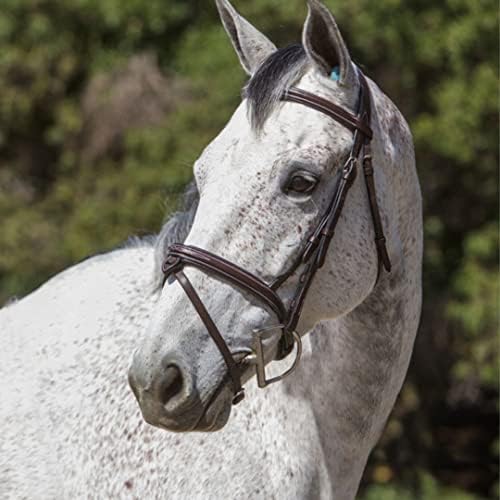 ExionPro Fancy Designer Stitched Square Raised Snaffle Noseband and Brow Band Mono Crown Piece Horse Bridle with Detachable Flash and Rubber Reins | Royal English Bridle