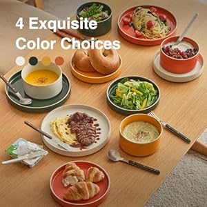 Odense 9.8" Large Dinner Plates(Set of 4) - Ceramic Plates for Dining Serving - For Salad, Pasta, Steak - Modern & Minimal, Wide Round Design, Stackable - Microwave & Dishwasher Safe (Multi Color) Odense 98 Large Dinner PlatesSet of 4 Ceramic Plates for Dining Serving For Salad Pasta Steak Modern Minimal Wide Round Design Stackable Microwave Dishwasher Safe Multi Color