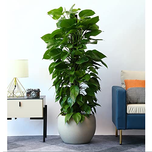 Spherical Flowerpot Ceramic Planter Flower Plant Pots with Drainage Hole for Plants Flower Tree Home Office Decoration