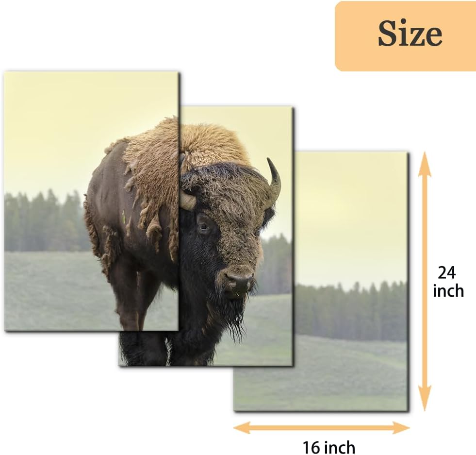 Pacimo 3 Pieces Canvas Print Wall Art Set Yellowstone National Park Grasslands Bison Animals Wildlife Modern Art Rustic Scenic Nature Chic Colorful for Living Room Bedroom Office- 16"x24"x3