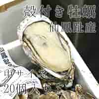 牡蠣さん専用 Amazon.co.jp: 仙鳳趾産 殻付き牡蠣 生食用 中サイズ20個（約