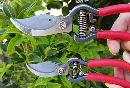 Elitexion Professional Heavy Duty Forged Bypass Pruning Shears, Garden Clippers, Hand Pruner Size 6 and 8 inches (Pack of 2)