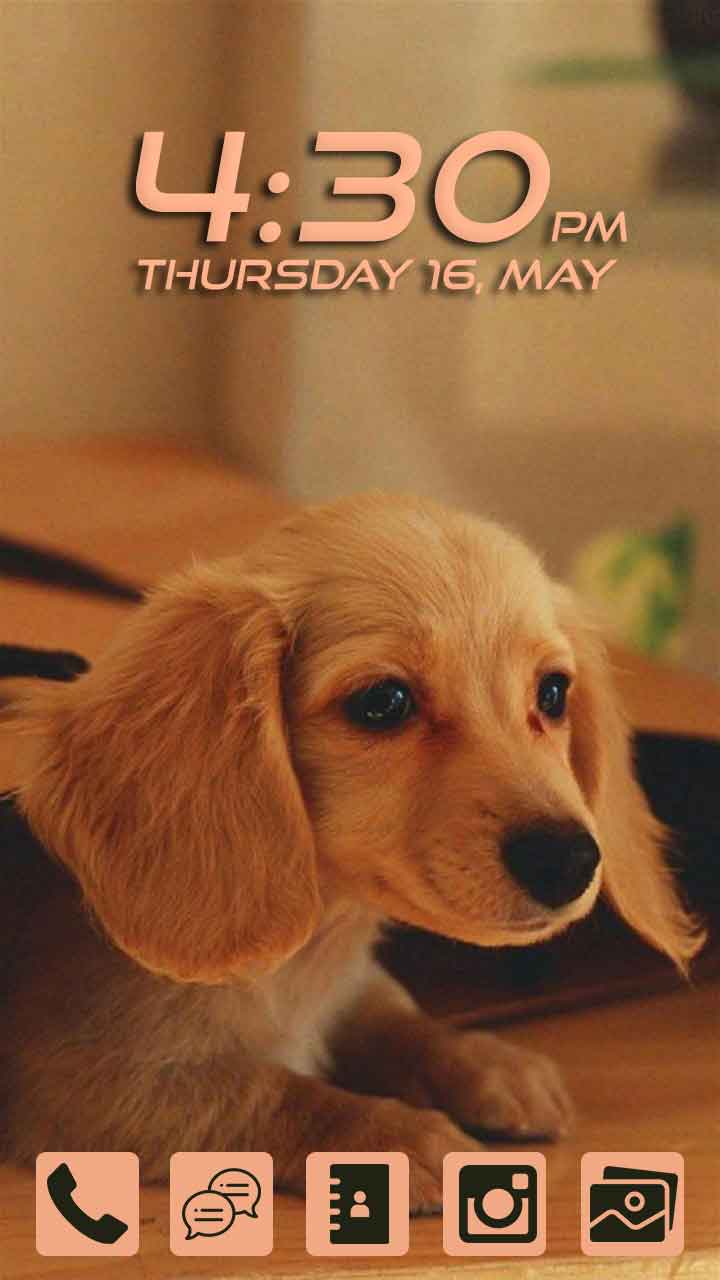 Dog Wallpapers - App on Amazon Appstore