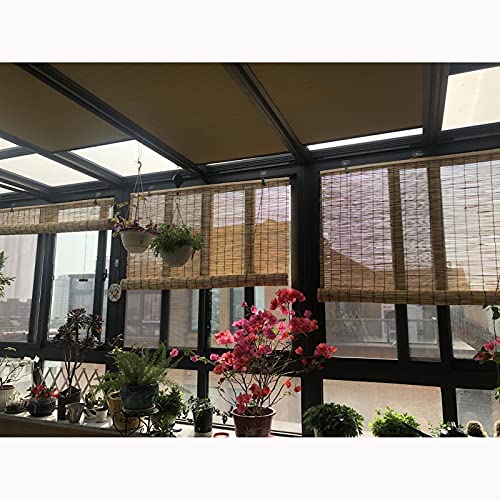 Consejos y reviews para comprar Estores cana disponible en línea para comprar. 23 Imagen adicional