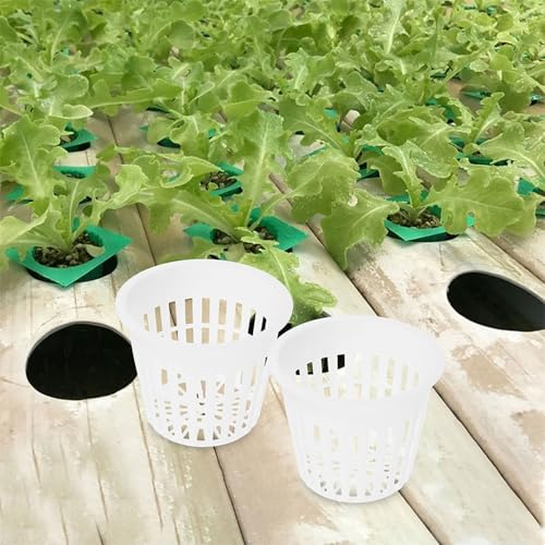 Paniers hydroponiques plastique mesh pots pour éviter le pourrissement - 8