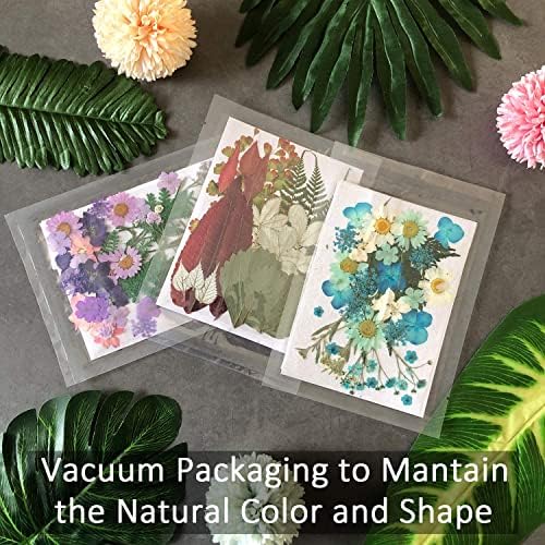 Cinvo 90 Pcs Real Dried Pressed Flowers and Leaves Natural Dried Petals for Candle Resin Jewelry Soap Nail Pendant Phone Case Crafts Making Floral Decors Scrapbooking DIY(Blue, Purple, Pink, Green)