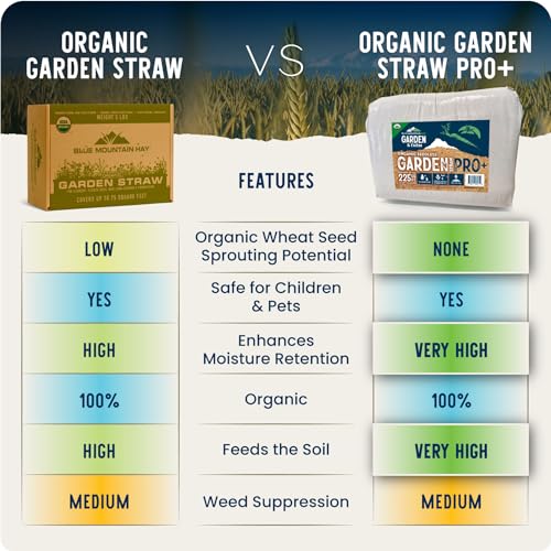 image for Organic Seedless Garden Straw Mulch | Blue Mountain Hay | Raised Bed G