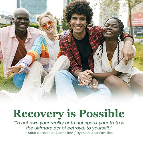 Daily Affirmations Strengthening My Recovery Meditations For Adult Children Of Alcoholics / Dysfunctional Families #TOP7