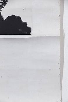 Amazon.co.jp: 真作 佳品掛軸「長野草風 山野草図」日本画家 邨田丹陵