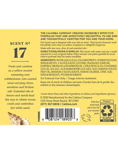 Image of Caldrea Hand Wash Soap, Aloe Vera Gel, Olive Oil and Essential Oils to Cleanse and Condition, Sea Salt Neroli, 10.8 oz, 2 Pack