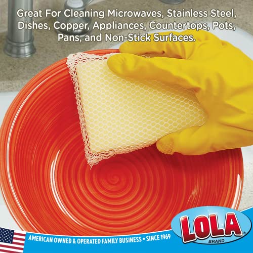 Image of LOLA Microfiber & Nylon Net Sponges, 4 Pack, 2 Dual Sided Non Scratch Sponge Pads & 2 w /Microfiber Cloth One Side and Netting on the Other Side