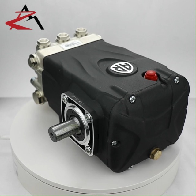 Amazon.com: OEM | Annovi Reverberi Horizontal Pump for Pressure