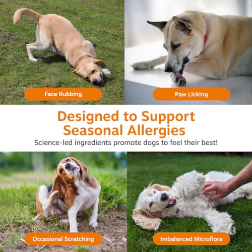 Image of Zesty Paws Hemp Dog Allergy Chews - Dog Allergy Relief, Cheese, 90 Ct