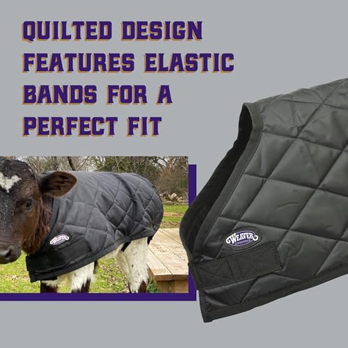Image of Weaver Livestock Warming Calf Blanket for Winter, Quilted Calf Coat with Buckle, Belly Protecting Livestock Shelter Blanket for Small Cattle