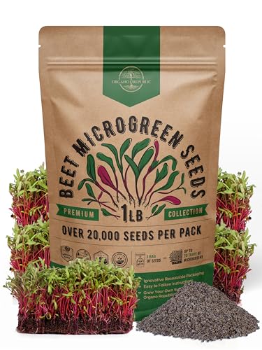 Organo Republic Beet Sprouting & Microgreens Seeds - 20,000 Non GMO Heirloom Seeds, Sprouts in Bulk 1lb Resealable Bag for Planting and Growing in Soil, Coconut Coir, Aeroponic & Hydroponic System