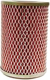 BV Parts Replacement Air Filter for 150cc Hammerhead, Trailmaster Vehicles and Off-Road Go Karts -