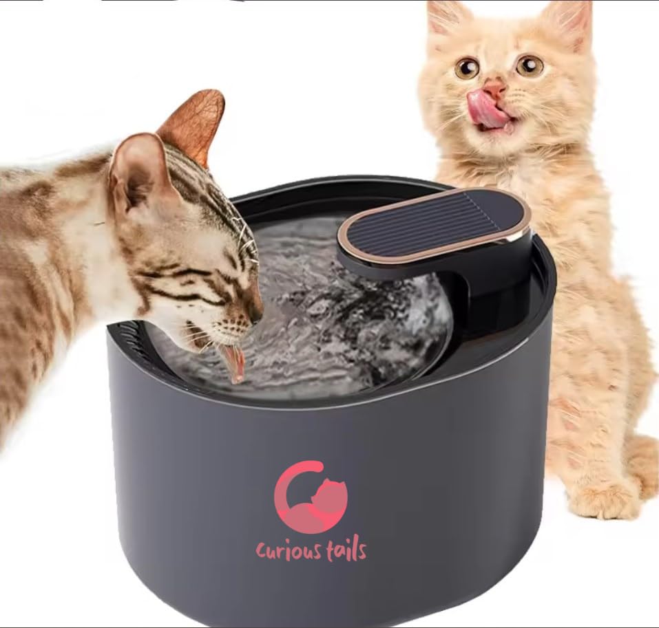 Curious Tails Cat Water Fountain for Drinking, 3L Cat Fountain, Water Fountain Cat Bowl, Pet Water Fountain, Cat Drinking Fountain, Super Silent