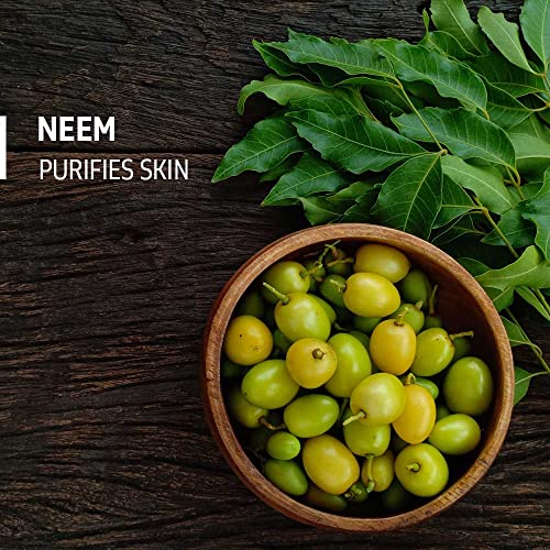 Image of Phy Natural Cleansing Neem Soap | Cleanses skin without drying | Purifies skin | Rich lather | Premium soap for men | 100% Vegan