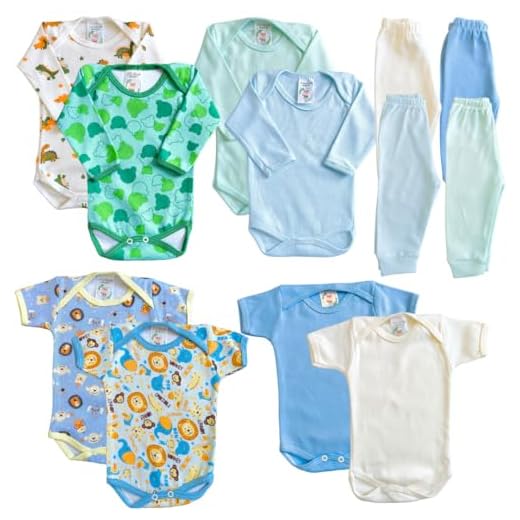 Kit 12 Peças Body Bebê Roupinha de Nenê Maternidade Roupa De Bebê Infantil Personalizado Body Manga Longa Mijão Liso Estampado Boris Meninos (Menino, G)