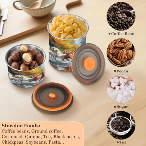 Blueangle Contenedor Hermético de Café Acero Inoxidable 900ml miniatura 5