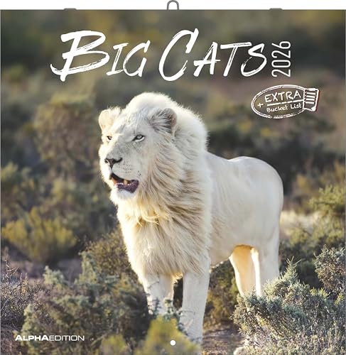 Alpha Edition - Big Cats Kalender 2026 – Wandkalender 30x30 cm – Für Wildtier- & Naturfreunde – 12 beeindruckende Fotografien von Raubkatzen, viel...