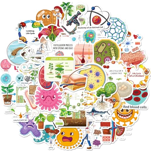Physik,Chemie,Biologie Aufkleber für Jugendliche Erwachsene 50 Stück Experiment Student Vinyl Sticker Set Auto Motorräder Fahrrad Skateboard Snowboard Gepäck Laptop Koffer Helm Motorrad Computer