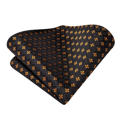 Image of Hi-Tie Mens Paisley Floral Striped Ties Set Silk Necktie and Lapel Pin for Men Pocket Square Cufflinks Set Business Wedding