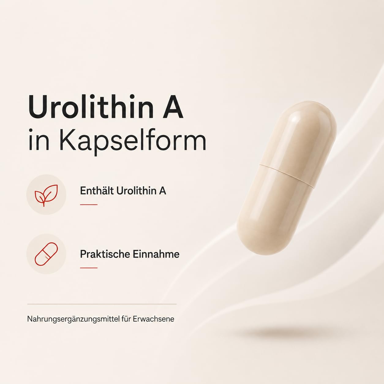 Urolithin A Kapseln 500 mg, 60 vegane Kapseln | Nahrungsergänzungsmittel, glutenfrei, laborgeprüft