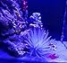Mallofusa Artificial Aquarium Fish Tank Decoration Silicone Sea Anemone Artificial Fish Tank Ornament Decoration (White)
