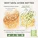 Lifted Naturals Spore Based Probiotic Probiotics - SBO Mood Boost - Spore/Soil-Based - Digestion & Natural Mood Support - Histamine-Free - 60 Day Supply, Non-GMO, Dairy-Free, Gluten-Free, Vegan
