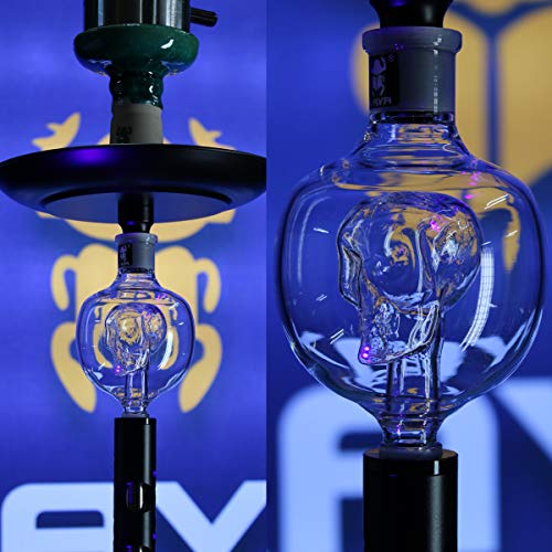 Kaya Shisha Molassefänger Glas Skull, Kugel mit Totenkopf, Stabiler 18.8 Schliff - Wasserpfeifen Zubehör (Klar) – Bild 6