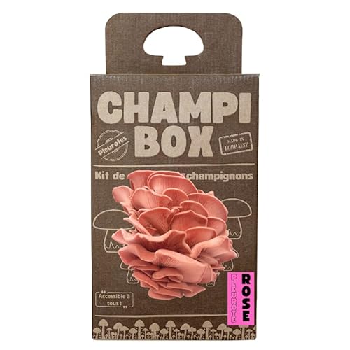 Kit de Culture de Champignons Pleurotes Roses (Pleurotus djamor) Champibox™ - Pleurotes Made in France - Gourmand et Éducatif - Idée Cadeau Originale et Naturelle pour Tous - Facile à Utiliser