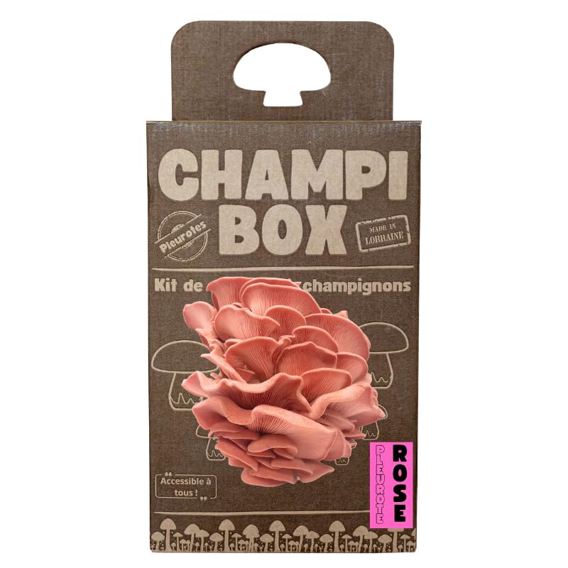 Kit de Culture de Champignons Pleurotes Roses Champibox™ (Pleurotus djamor) - Pleurotes Made in France - Gourmand et Éducatif - Idée Cadeau Originale et Naturelle pour Tous - Facile à Utiliser