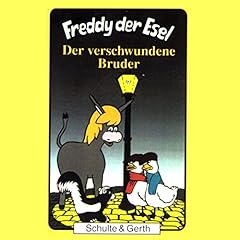 Der verschwundene Bruder Titelbild