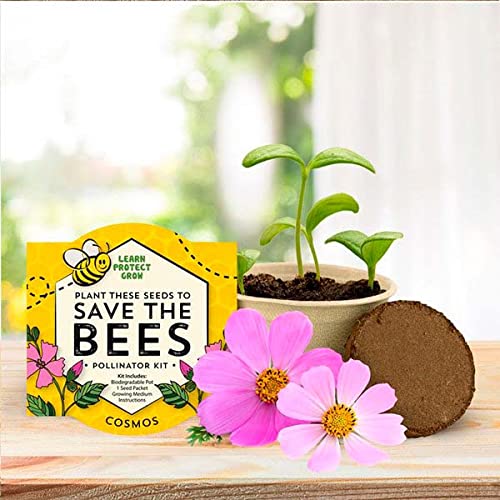 BUZZY Save The Bees Pollinator Grow Kit Cosmos Best Gardening Gifts, Favors, Parties, Events, Unique, and Fun | Growth Guaranteed (Cosmos)