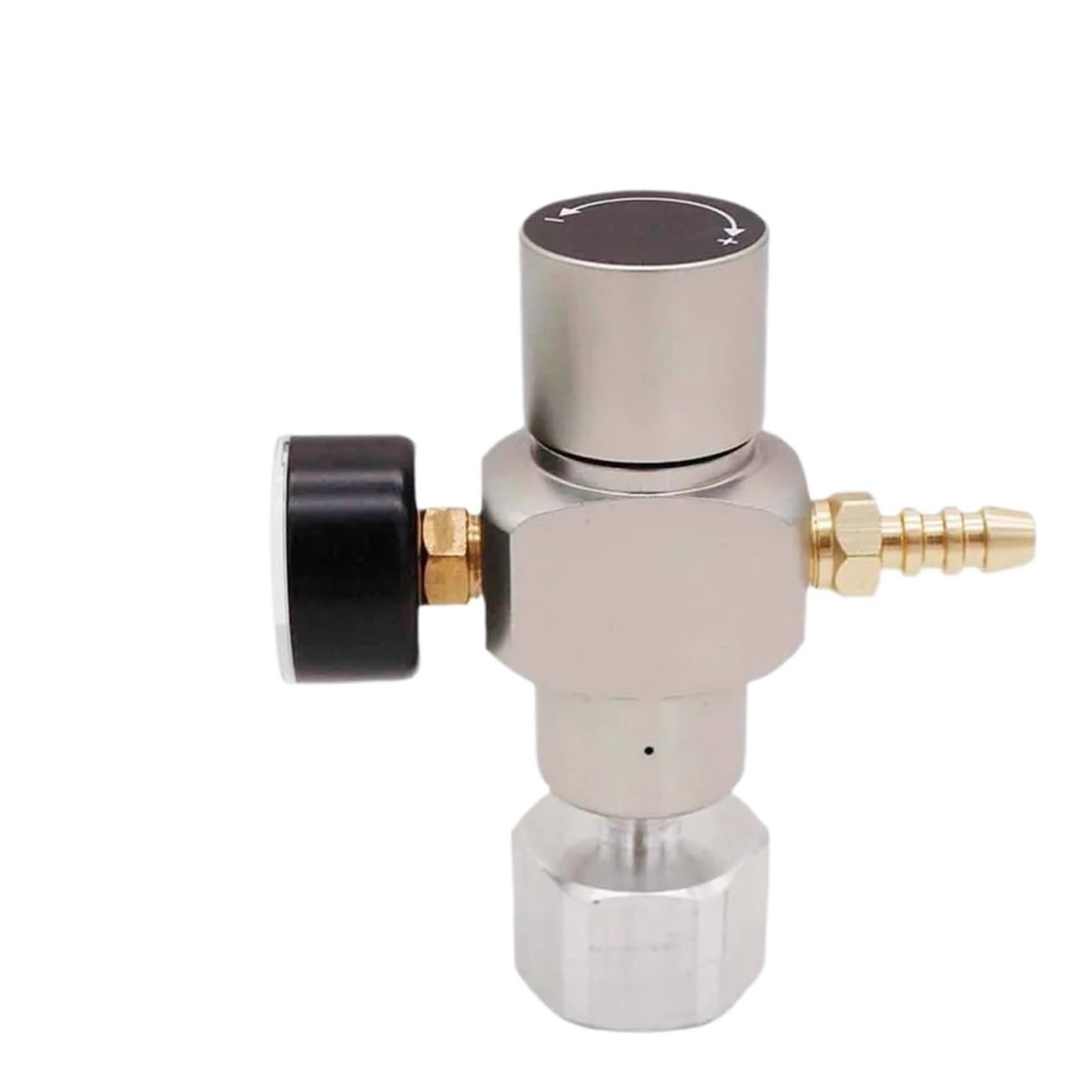 Regolatore di Gas CO2 2 in 1 Mini caricabatteria CO2 TR21*4 0-30 PSI for Fusto Soda Stream Kegerator(8mm Hose Barb)