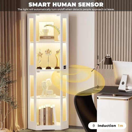 image for BROTTAR 65